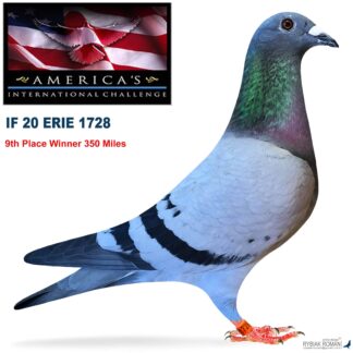 1728 ERIE 2020