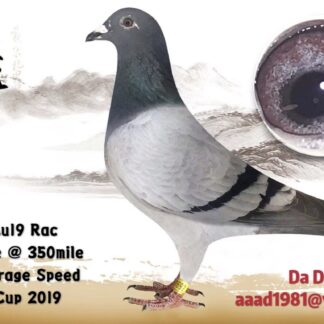 1692 RAC 2019